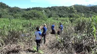 Wiederbewaldung - Reforestation Finca Amable, Costa Rica,  2013