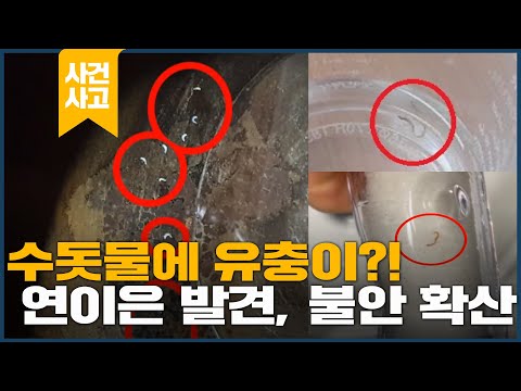 수돗물에 <strong>유충이</strong>...