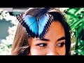 This Butterfly Landed On Her Face