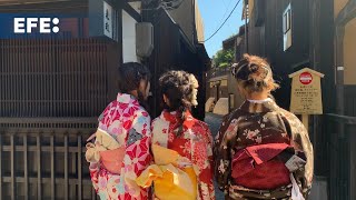 Vecinos de Kioto cierran calles para evitar que los turistas persigan a geishas