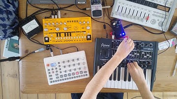 Acid Techno Live Jam - Model:Samples, Arturia Minibrute & Behringer TD-3