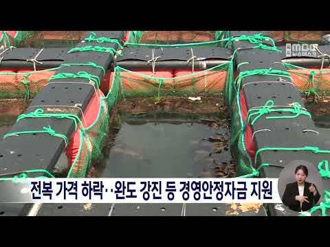 <strong>완도</strong> 강진 등 경영안전자금 지원[목포MBC 뉴스데스크]