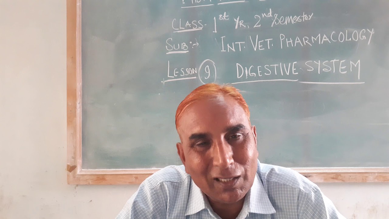 MBM AHDP COLLEGE 1st year 2nd semester Digestive System - YouTube