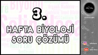 3. Hafta Biyoloji Soru Çözümü