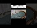 警察来たけど布団の中に隠れてやり過ごそうとする人。#shorts