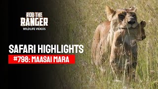 Safari Highlights #798: 05 January 2025 | Maasai Mara/Zebra Plains | Latest #Wildlife Sightings
