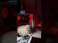 ROT 🩸 #viral #edit #setup #shorts #youtubeshorts #youtube #trending #goviral #cat #cats #subscribe