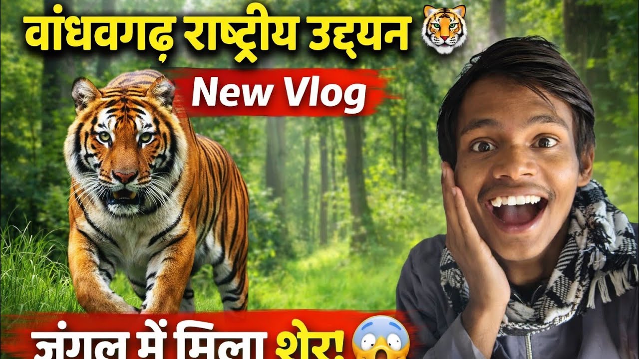 बांधवगढ़ राष्ट्रीय उद्यान Vlog