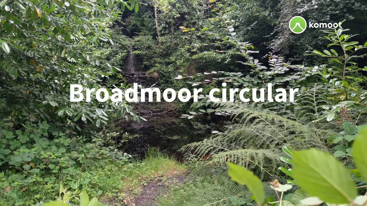 Broadmoor circular walk, Surrey, including the "Secret Waterfall"