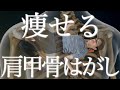 【超硬い人専用14分】肩背中痩せに！肩甲骨はがしリリースダイエット｜猫背・巻き肩改善にも！【リリトレLv3】