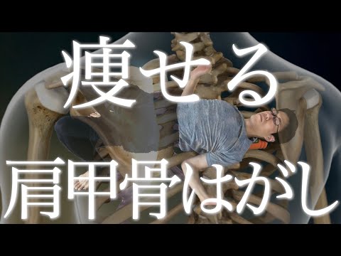 【超硬い人専用14分】肩背中痩せに！肩甲骨はがしリリースダイエット｜猫背・巻き肩改善にも！【リリトレLv3】