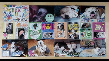 Project Life Process Video Week 11-2021 (Voiced In Real Time) :)