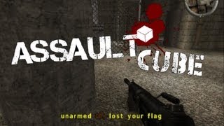 Assault Cube: Team Keep The Flag- New FREE Game On My Channel!
