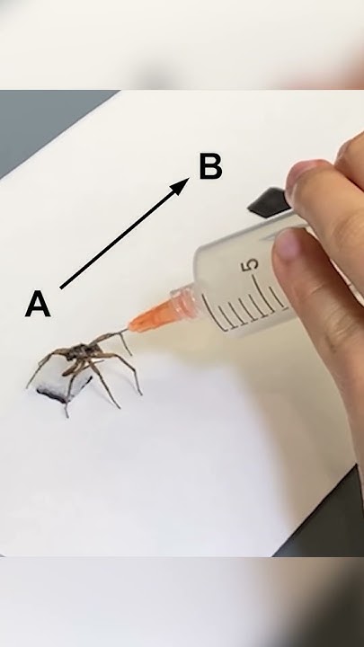 Using dead spiders as quasi-cyborgs to pick things up - YouTube