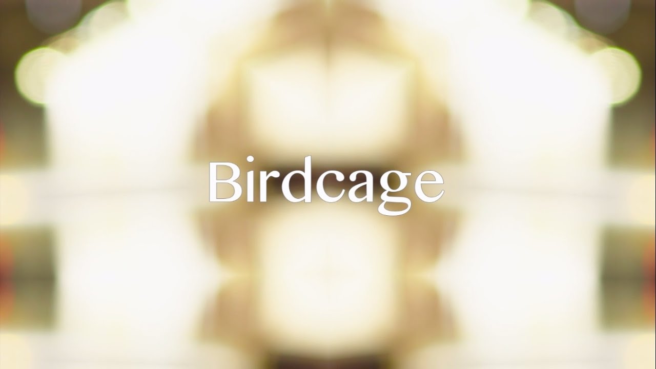 BandAid Birdcage Lyrics MV YouTube
