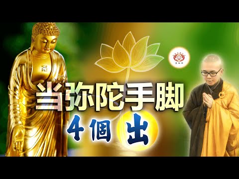 当弥陀手脚  4 个“出” 👼 | 净本法师 主讲