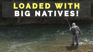 Potter County PA Fly Fishing