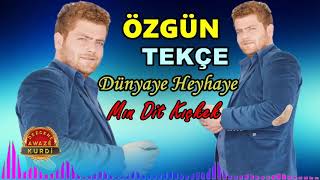 Özgün Tekçe - Dünyaye Heyhaye / Mın Dit Keçikek YENİİ Resimi