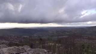 TEIXO, No coraçao da serra do Caramulo, 07 09 2014