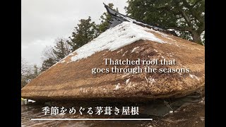 新潟】季節をめぐる茅葺き屋根 - YouTube