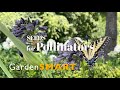 GardenSMART Tips, Seeds for Pollinators