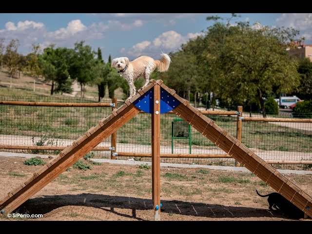 Pipicanes, parques caninos y áreas para perros con elementos de agility,  ¿son beneficiosas o peligrosas para los canes?