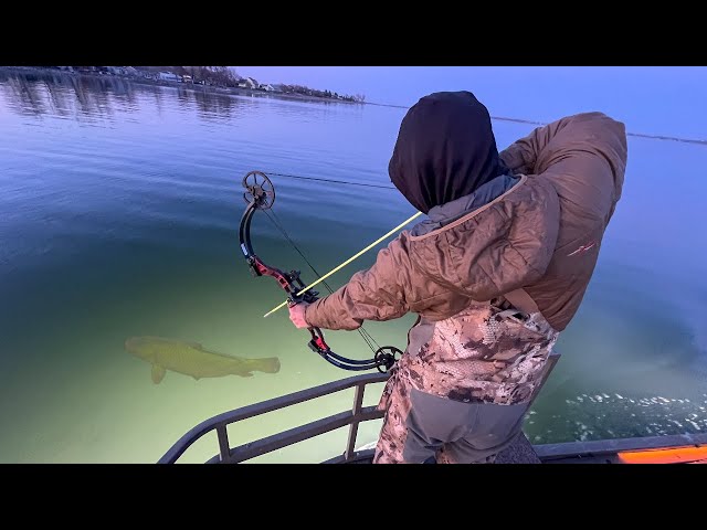 BowFishing Hundreds of BIG Fish in Gin Clear Water! class=