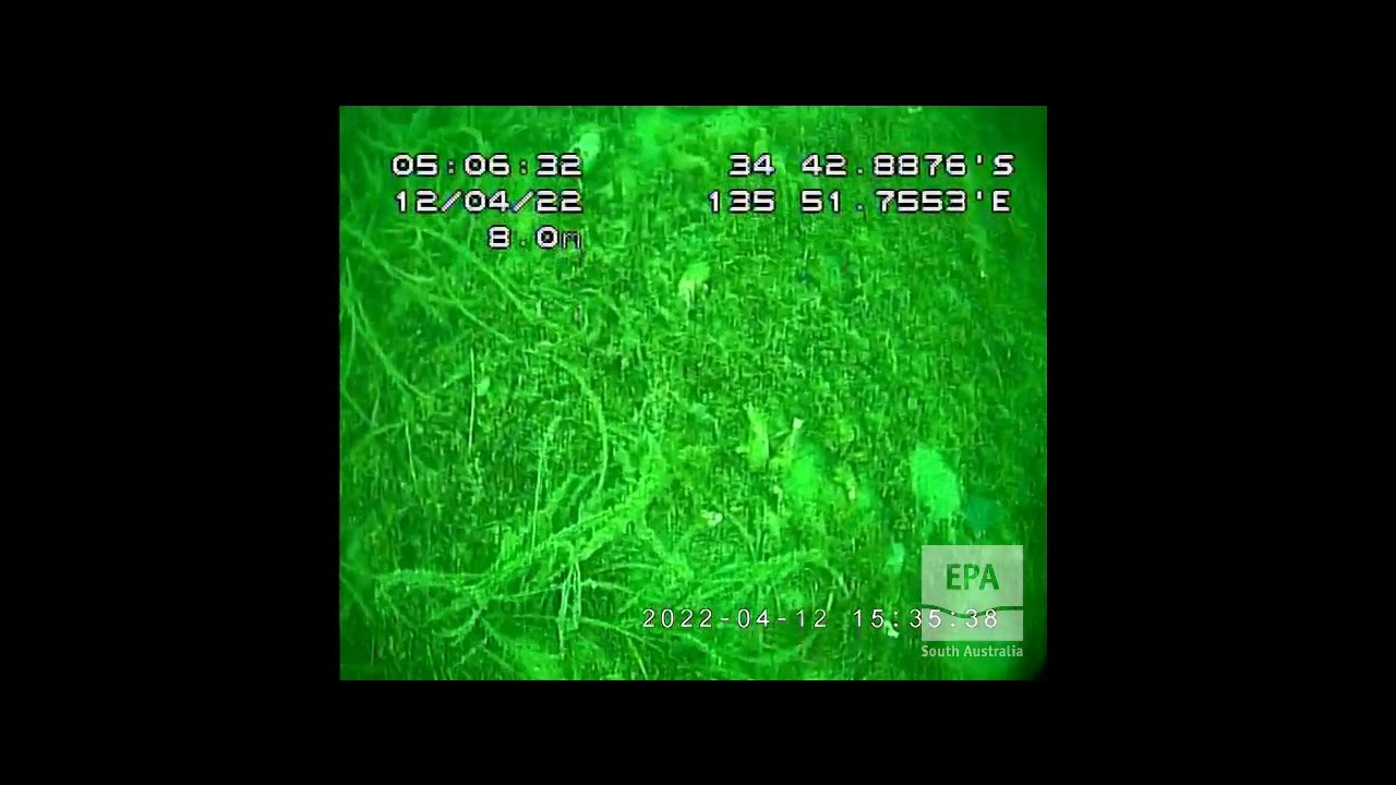 EPA Marine Aquatic Ecosystem Condition Report SSG, Lincoln Town Jetty, m0104, Jussieu