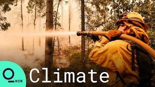 Yosemite Wildfire Burns Out of Control, Forcing Thousands to Flee
