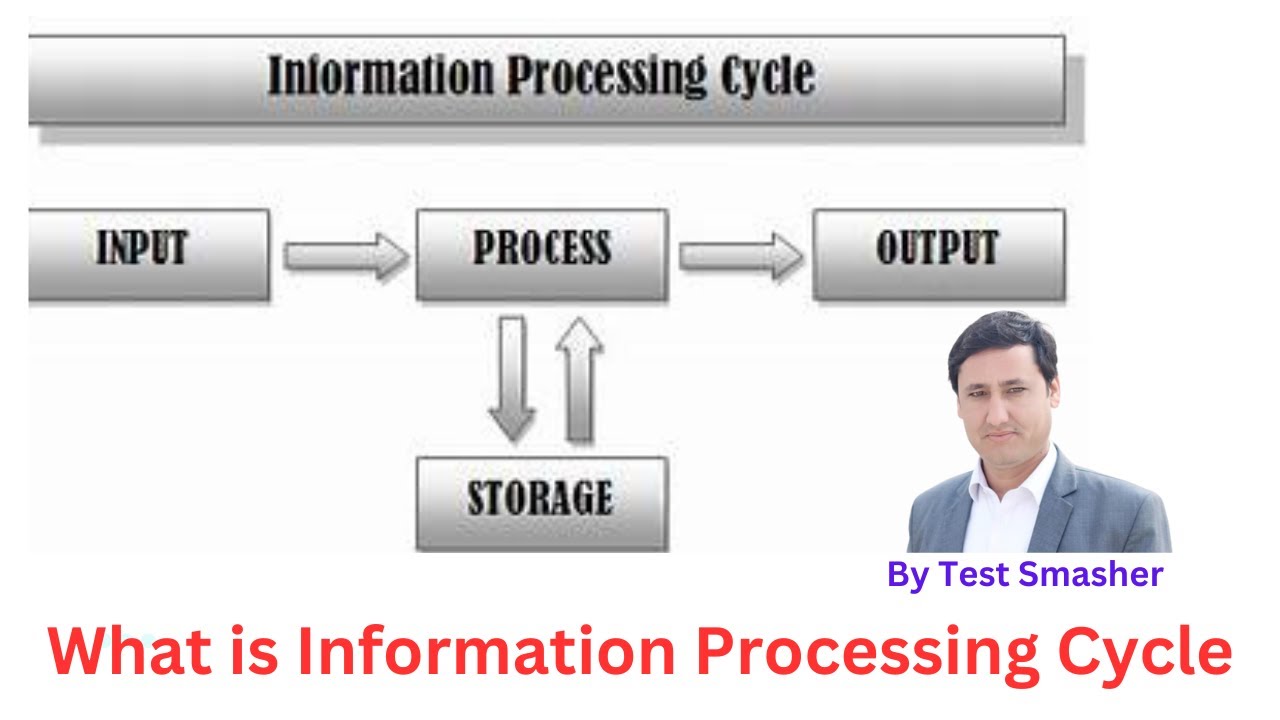 Information processing cycle || What is information processing cycle ...