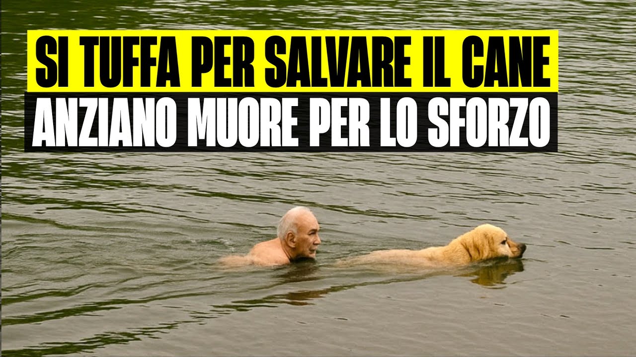 ULTIM'ORA ANZIANO SI TUFFA IN UN CANALE DEL PO PER SALVARE IL SUO CANE ...
