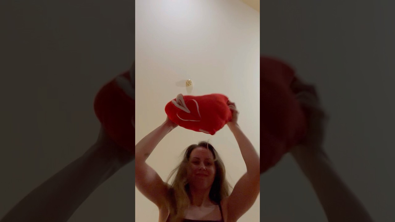 mosquito - everything 😅