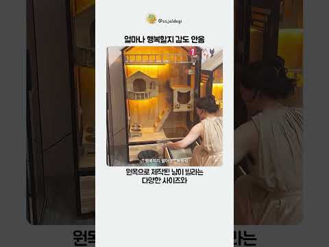 얼마나 행복할지 감도 안옴 thumbnail