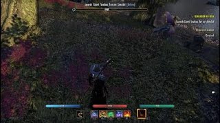 Deshaan Treasure Map IV ESO