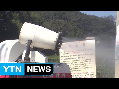연천 발병 농장 통제...살처분 작업 진행 중 / YTN