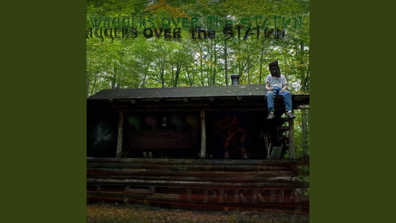 My Everyday: The Light Falling on the Tree