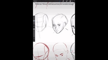 Learning How to Draw Faces - Art Study - Digital Art - Part 7