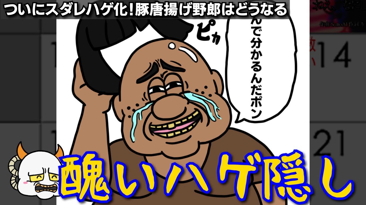 ついにスダレハゲ化！豚唐揚げ野郎はどうなる あいぽんの毎日