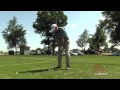 Golf Pro Review:  Impact Master Training Aid
