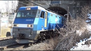 【EH200 locomotive  Roar echoing in  in the Enrei tunnel. 】塩嶺隧道〜みどり湖駅　トンネル内に響く轟音‼