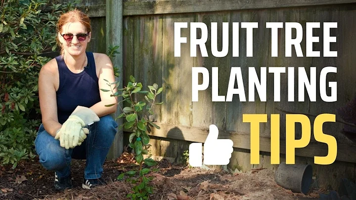 Why Your Fruit Trees are Failing! Avoid These Planting Mistakes
