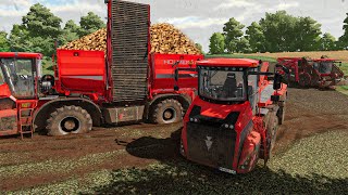 Using edited HOLMER PACK to load Silage and Spread manure (IN MUD) at the OLD STREAM FARM | FS 22