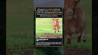 HE BROKE THE FARM SPEED LIMIT