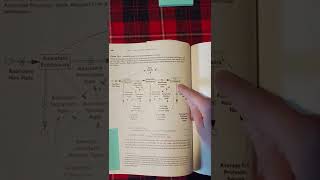 Explanation of Systems Dynamics Modeling