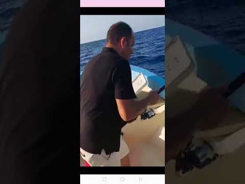 اصتيادسمكة التونة العنيدة للمحترفين صيد البحر الاحمر سمكة البياض