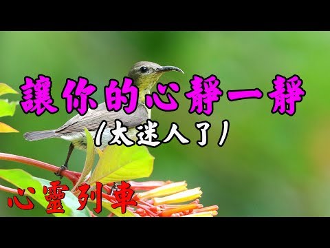 【心靈列車 】 讓你的心靜一靜：經歷了世事的智者，終於領悟到，太過用力太過張揚的東西，一定是虛張聲勢的。（太迷人了）