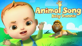 animal song and more nursery rhymes baby ronnie videogyan 3d rhymes learn animals for kids