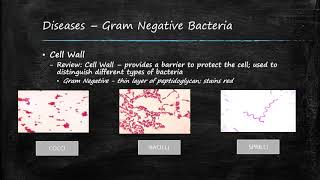 CIC Study Guide Series 3 Diseases