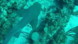 Caye Caulker, Belize, Central America 2015 GoPro