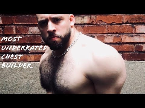 The Most Underrated Chest Builder